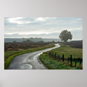 Weinberg in Lantignié (Departement Rhône) Poster