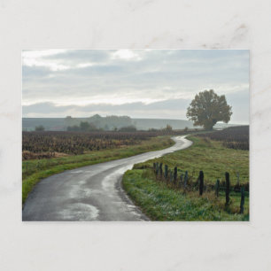 Weinberg in Lantignié (Departement Rhône) Postkarte