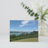 Weinberg in Neuseeland Postkarte (Stehend Vorderseite)