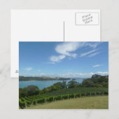 Weinberg in Neuseeland Postkarte (Vorne/Hinten)