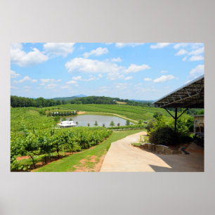 Weinberg in North Georgia Weinland Poster