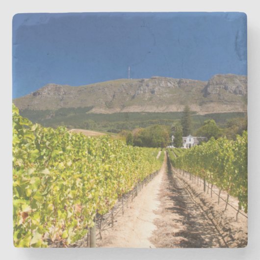 Weinberg, Kapstadt, Western Cape, Südafrika 2 Steinuntersetzer (Vorderseite)