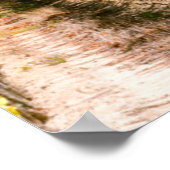 Weinberg, Kapstadt, Western Kapstadt, Südafrika 2 Poster (Ecke)