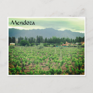 Weinberg Mendoza Postkarte