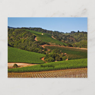 Weinberg Napa Postkarte