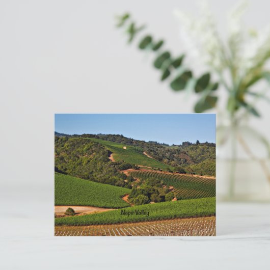 Weinberg Napa Postkarte (Stehend Vorderseite)