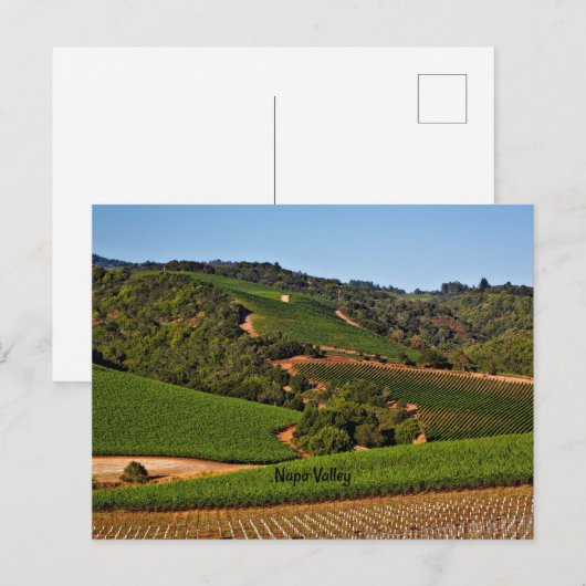 Weinberg Napa Postkarte (Vorne/Hinten)