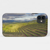 Weinberg. Napa-Tal. Napa. Napa-Landkreis Case-Mate iPhone Hülle (Rückseite (Horizontal))