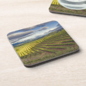 Weinberg. Napa-Tal. Napa. Napa-Landkreis Getränkeuntersetzer (Linke Seite)