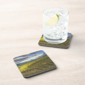 Weinberg. Napa-Tal. Napa. Napa-Landkreis Getränkeuntersetzer (Rechte Seite)