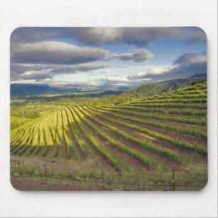 Weinberg. Napa-Tal. Napa. Napa-Landkreis Mousepad