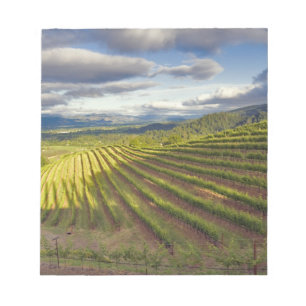 Weinberg. Napa-Tal. Napa. Napa-Landkreis, Notizblock