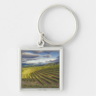 Weinberg. Napa-Tal. Napa. Napa-Landkreis Schlüsselanhänger