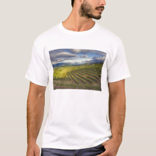 Weinberg. Napa-Tal. Napa. Napa-Landkreis T-Shirt