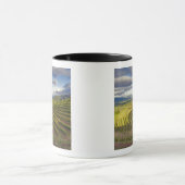 Weinberg. Napa-Tal. Napa. Napa-Landkreis Tasse (Zentrum)