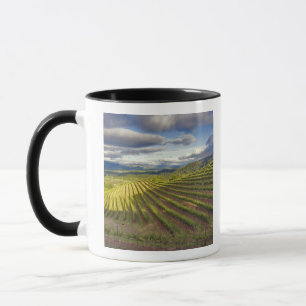 Weinberg. Napa-Tal. Napa. Napa-Landkreis Tasse