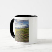 Weinberg. Napa-Tal. Napa. Napa-Landkreis Tasse (Vorderseite Links)