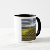 Weinberg. Napa-Tal. Napa. Napa-Landkreis Tasse (VorderseiteRechts)