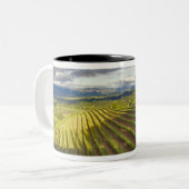 Weinberg. Napa-Tal. Napa. Napa-Landkreis Zweifarbige Tasse (Vorderseite Links)