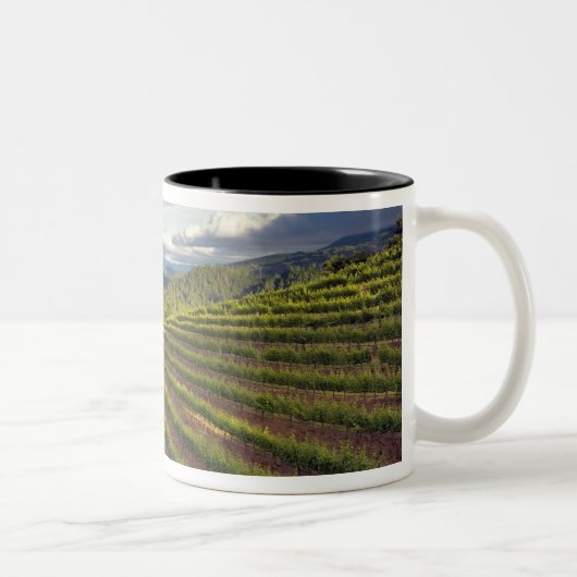 Weinberg. Napa-Tal. Napa. Napa-Landkreis Zweifarbige Tasse (Rechts)