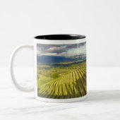 Weinberg. Napa-Tal. Napa. Napa-Landkreis Zweifarbige Tasse (Links)