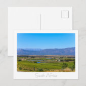 Weinberg Natureview Südafrika SA Postkarte (Vorne/Hinten)