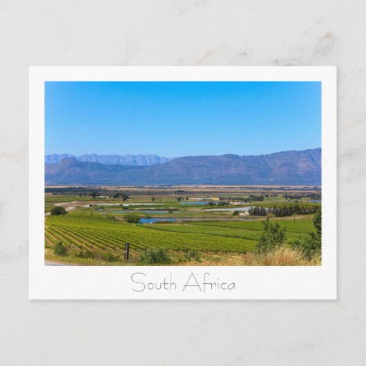 Weinberg Natureview Südafrika SA Postkarte (Vorderseite)