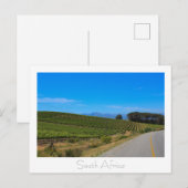 Weinberg Natureview Südafrika SA Postkarte (Vorne/Hinten)