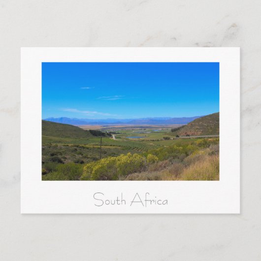 Weinberg Natureview Südafrika SA Postkarte (Vorderseite)