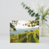 Weinberg Postkarte (Stehend Vorderseite)