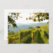 Weinberg Postkarte (Vorne/Hinten)