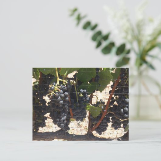 Weinberg Postkarte (Stehend Vorderseite)