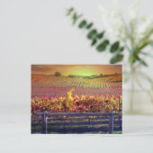 Weinberg Postkarte (Stehend Vorderseite)