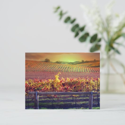 Weinberg Postkarte (Stehend Vorderseite)