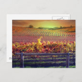 Weinberg Postkarte (Vorne/Hinten)