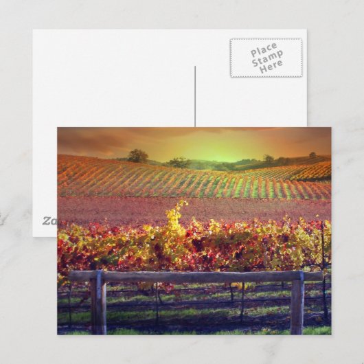 Weinberg Postkarte (Vorne/Hinten)