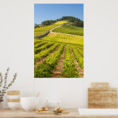 Weinberg, Stellenbosch, Western Poster (Küche)