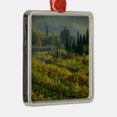 Weinberg, Toskana, Italien Ornament Aus Metall (Rechts)