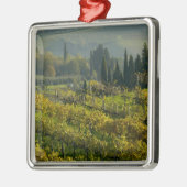 Weinberg, Toskana, Italien Ornament Aus Metall (Links)