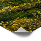 Weinberg, Toskana, Italien Poster (Ecke)