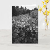 Weinberg und Hügel, Textilkaufmann Vineyard, 1966 Karte (Gelbe Blume)