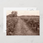 Weinberg verlassen postkarte (Vorne/Hinten)