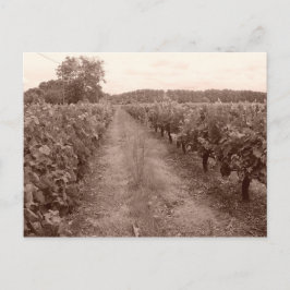 Weinberg verlassen postkarte