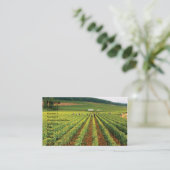 Weinberg-Visitenkarte Visitenkarte (Stehend Vorderseite)