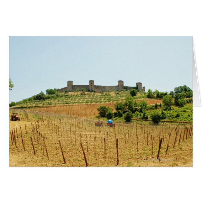 Weinberg vor einer Festung, Monteriggioni, (Vorderseite (Horizontal))