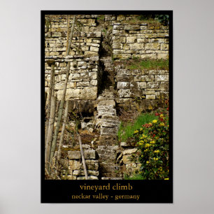 Weinbergaufstieg Poster