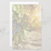 Weinberge bei Sonnenuntergang Briefpapier (Vorne/Hinten)