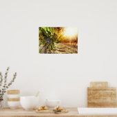 Weinberge bei Sonnenuntergang Poster (Küche)
