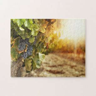 Weinberge bei Sonnenuntergang Puzzle