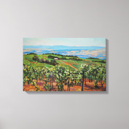 Weinberge Canvas Print Leinwanddruck